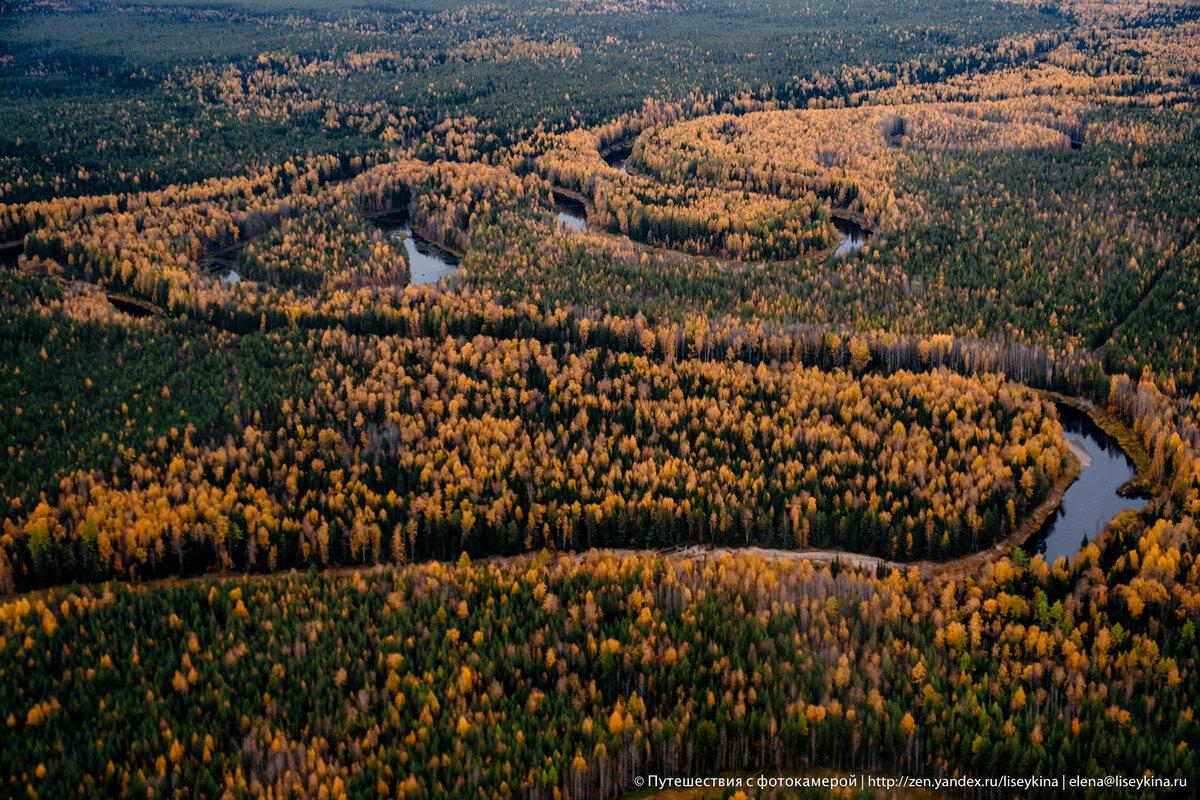 Тайга с борта вертолета