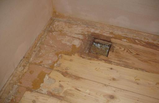 Такие отверстия еще часто называли «кошачий лаз»