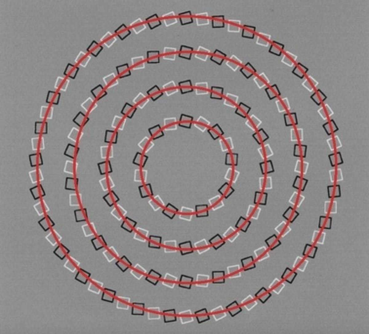 Я собрал в статье семь потрясающих иллюзий. Некоторые из них ну просто невозможны. Хотя наука утверждает обратное. Иллюзия №1. Девушка — монстр или красавица? Вот что нужно сделать.-3