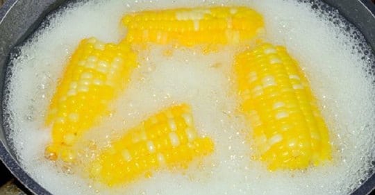 Как правильно варить кукурузу! Всё очень просто