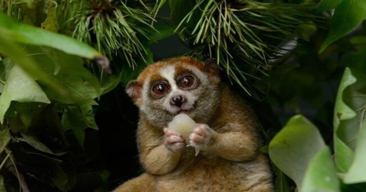 Внешность порой обманчива