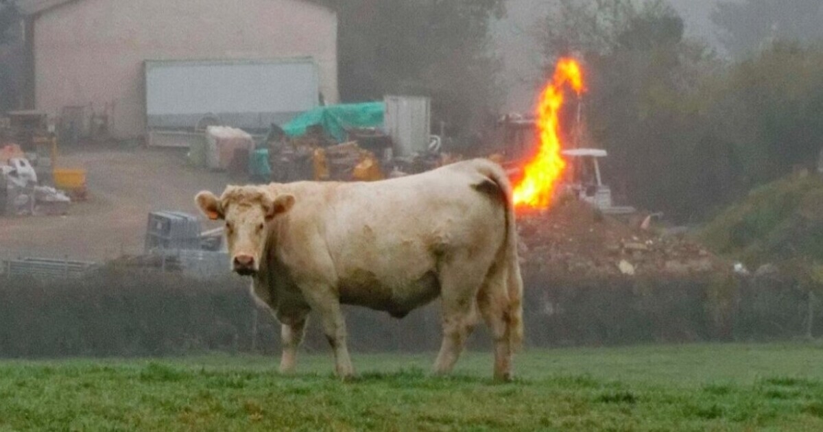 Такие смешные совпадения бывают в жизни! Обхохочешься Подборка от очевидцев, которые поделились фото в сети