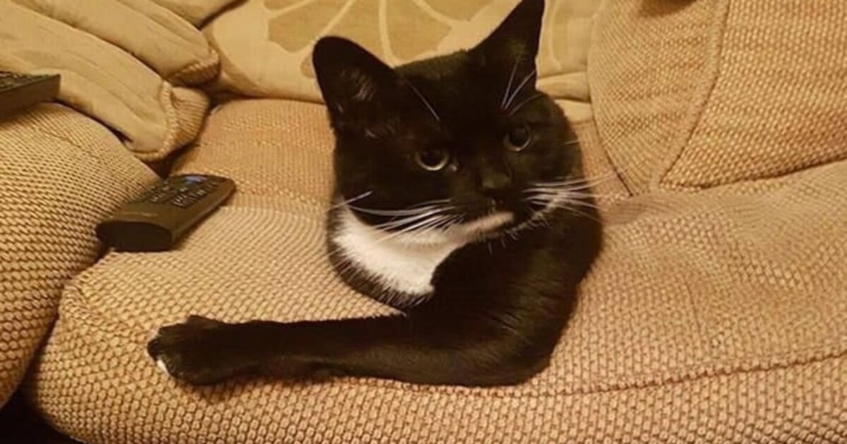 «Показалось»: 20 фотографий, которые обманут ваш мозг