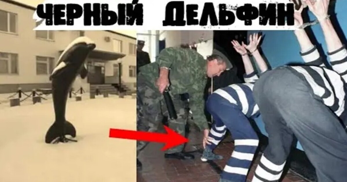 «Черный дельфин», обитель монстров. Рассказываем любопытные факты о самой суровой тюрьме России