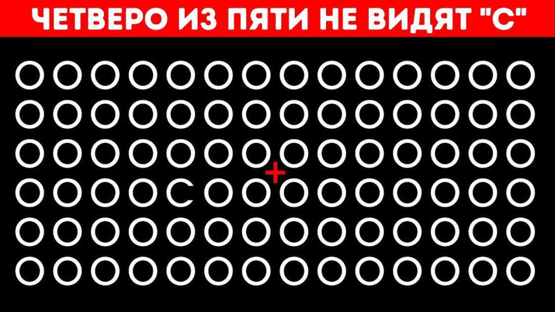 Проверьте ваш IQ при помощи 10 фото