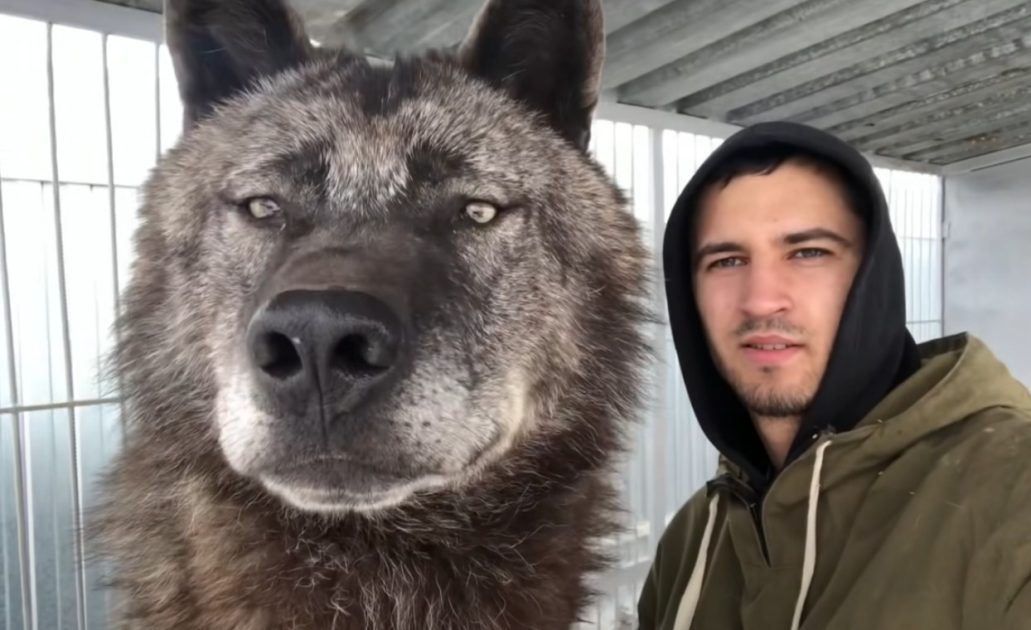 Парень нашел брошенного щенка в лесу.