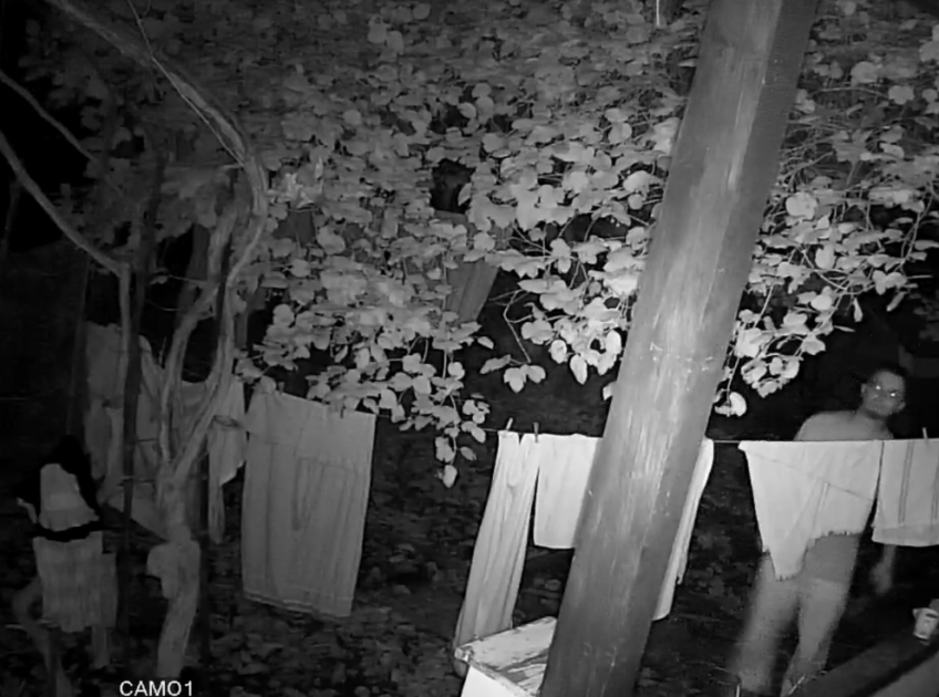 Поставил в деревенский дом камеру видеонаблюдения