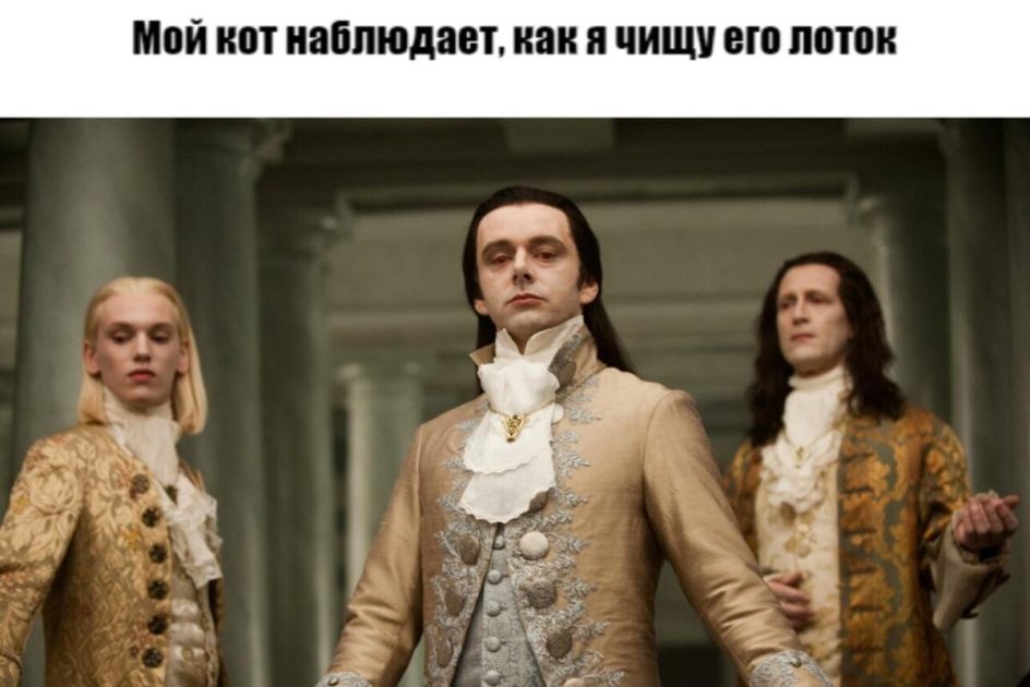0 смешных мемов по саге «Сумерки»