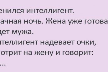 Анекдоты дня