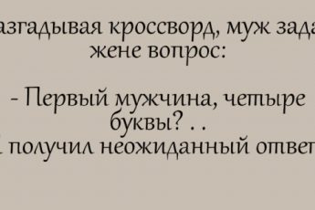 Анекдоты от кота Феликса