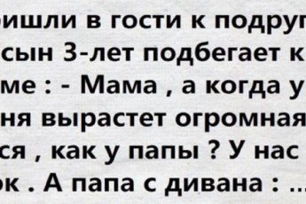 Анекдоты от кота Феликса114 серия