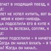 Анекдот о том как проводница мужика к женщине подсадила