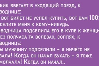 Анекдот о том как проводница мужика к женщине подсадила