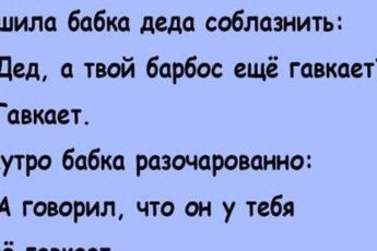 Вовочка, ты почему вчера в школу не приходил? Мы с папкой быка к корове водили Смешные анекдоты