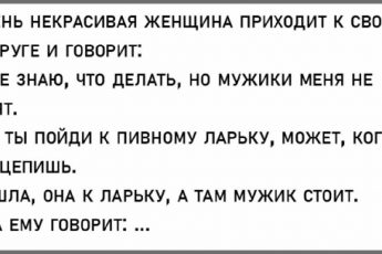 Анекдоты от кота Феликса105серия