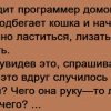 Анекдоты про зверей, самые прикольные