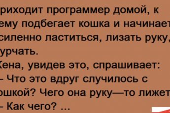 Анекдоты про зверей, самые прикольные