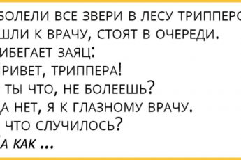 Про зайца, которой трипп*ром не заболел