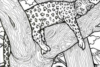 Китайский тест на деменцию: попробуйте найти банан, гриб и рыбу с ручкой. Полезная проверка после праздников