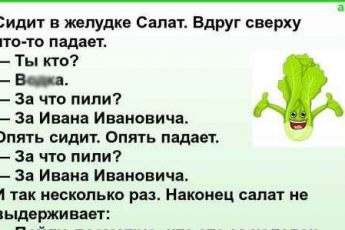 Просто анекдоты. Про Россию и её медведей