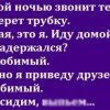 Феи утренней звезды. Угарные анекдоты