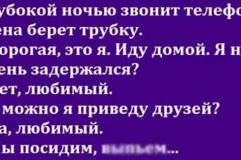 Феи утренней звезды. Угарные анекдоты