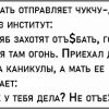 19 смешных и прикольных фото. Подборка.
