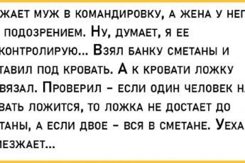 Мужские анекдоты о женских пороках от Юрия Никулина