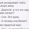 Подборка приколов из сети