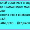 Подборка приколов для хорошего настроения #4