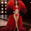 30 лучших образов шоу ангелов Victoria’s Secret 2025