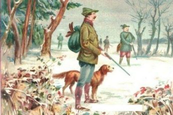 Люди старше 30 лет не видят зайцев на картинке. Но они здесь есть и их три