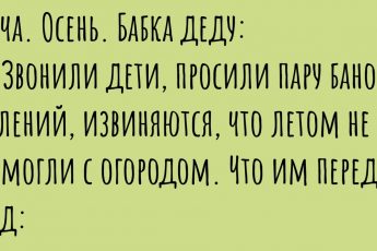 Полить, прополоть и пожарить шашлык. Подборка анекдотов про дачу и дачников.