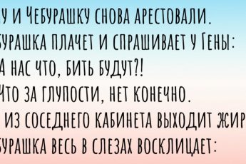 Гена, на! Подборка анекдотов про Чебуратора и Геннадия. Часть 2