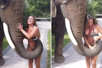 Люди стыдят блогеров, которые делают глупые вещи ради фотографии: 12 примеров