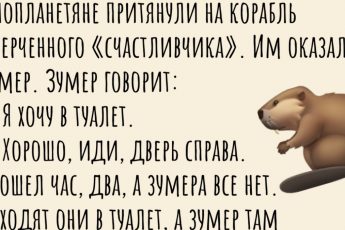 Сидим с бобром за столом! Подборка анекдотов про зумеров (рил хайповых).