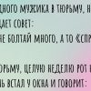 Льет как из ведра. Подборка анекдотов про всеми любимый дождь.