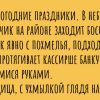 Дубабрь прошел, пьянварь пришел. Подборка анекдотов про праздничное похмелье.