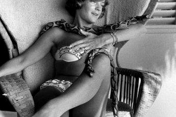 14 потрясающих фотографий великолепной Роми Шнайдер