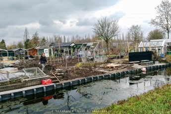 Как выглядят голландские дачи, и чем они отличаются от русских