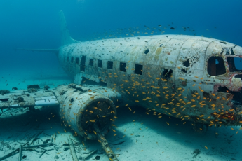 Загадочное Саргассово море: единственное море без берегов и его тайны