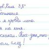 «Ходили в лес за поганками». Подборка смешных сочинений школьников про летние каникулы