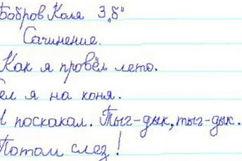 «Ходили в лес за поганками». Подборка смешных сочинений школьников про летние каникулы