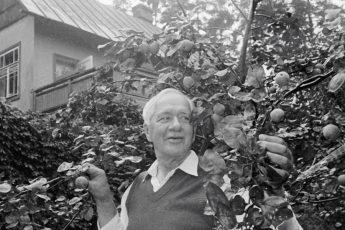 Развенчиваем мифы. Девять самых распространенных заблуждений о Корнее Чуковском.