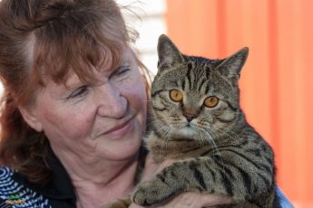 Учёные выяснили, каких людей на самом деле любят кошки, и дело не в еде