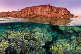 Хотите поплавать в Красном море? Прочитайте и все желание отпадет