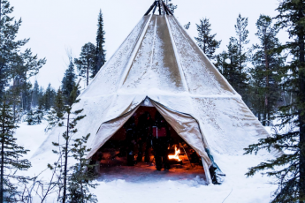 Почему северяне используют мокрые дрова вместо сухих?